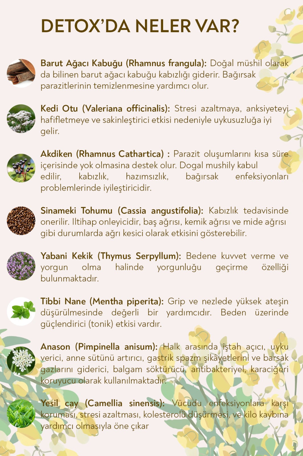 Detox Çay – 75 Gr. Toksinlerden Arınmaya Ve Diyete Destek Bitki Çayı