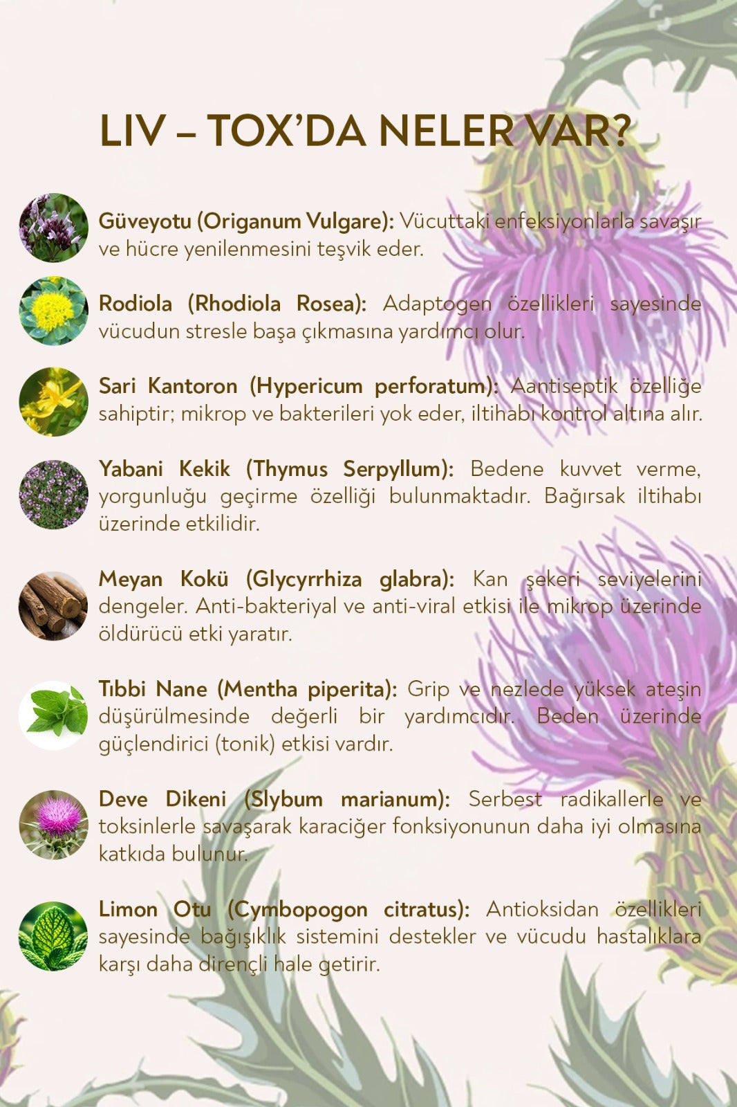 Liv-tox Çay - 75 Gr. Karacigerin Temizlenmesine Destek Bitki Çayı